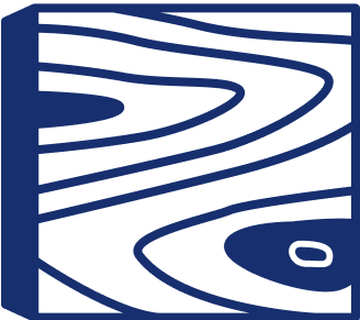 Icon 4